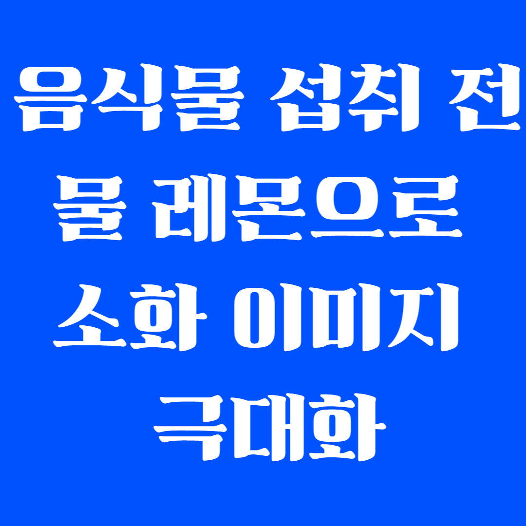 음식물 섭취 전 물 레몬으로 소화 이미지 극대화