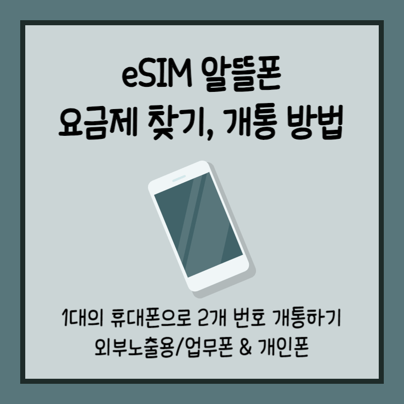 eSIM 알뜰폰 관련 글의 섬네일