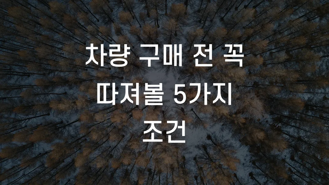 차량 구매 전 꼭 따져볼 5가지 조건