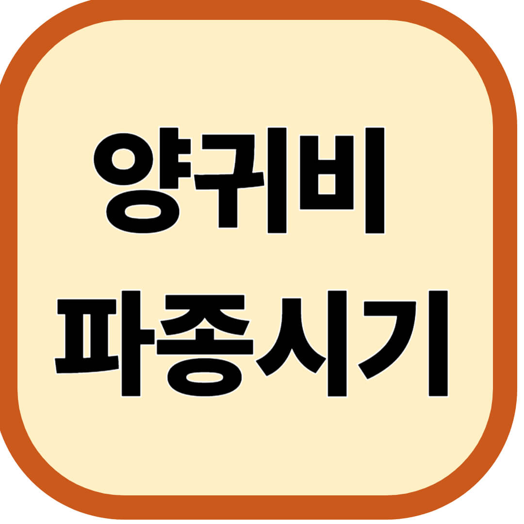 양귀비 파종시기