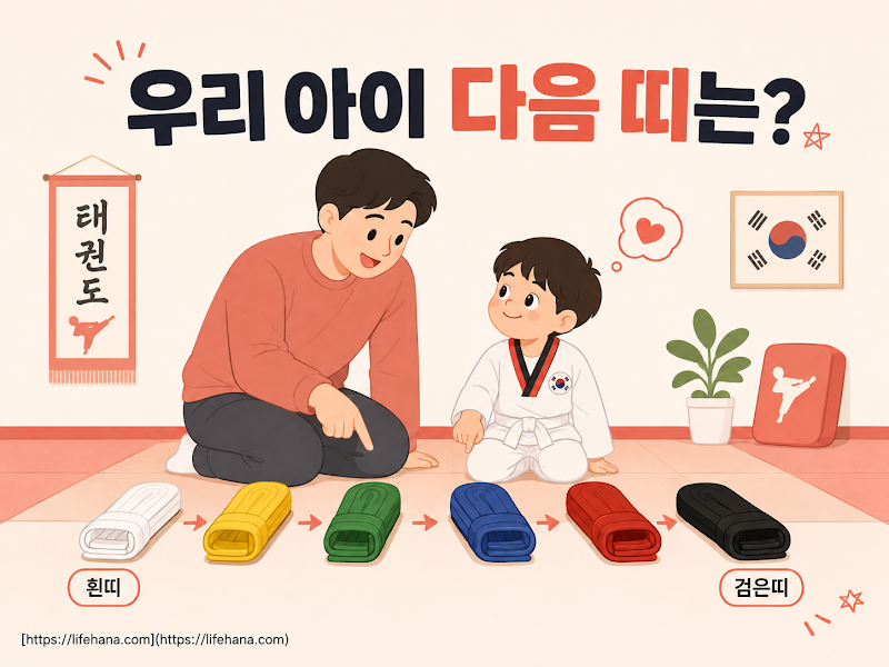흰띠부터 검은띠까지, 순서 이렇게 올라가요