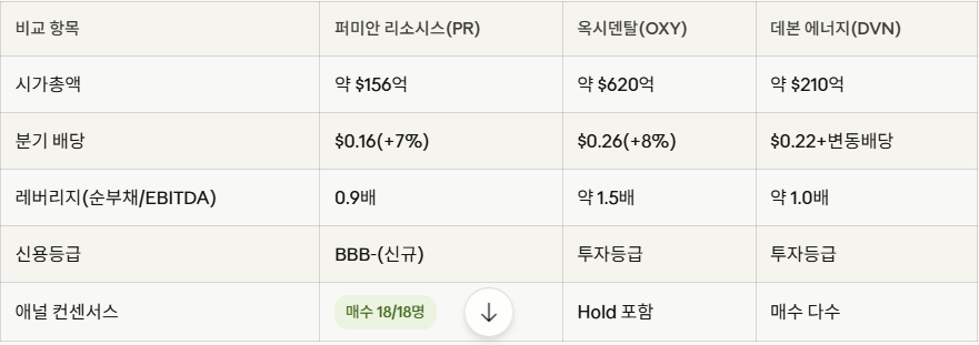 미국 저평가 주식- 퍼미안 리소시스04