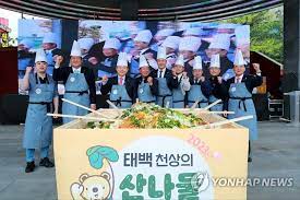 2024 태백 천상의 산나물 축제 기본일정 및 프로그램 소개 초대가수 소개(김희재 김완선 윤수현 홍성원 등 출연)