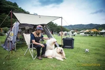서울 마포 반려동물 캠핑장 도심 속 힐링 명소 가이드_34
