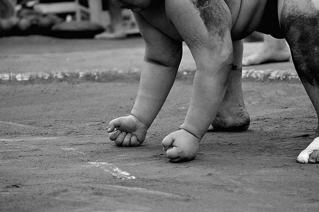 농사 퇴비 만들기 낙엽 음식물 왕겨 EM발효 쉬운 방법_4