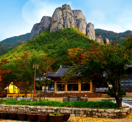 단풍여행 단풍트레킹 당일버스 여행