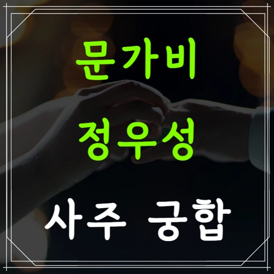정우성 문가비 사주