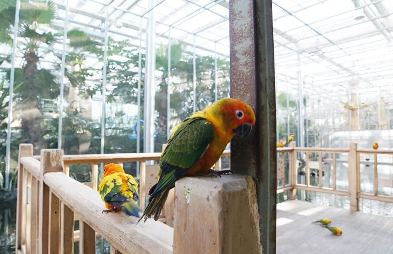 경주 버드파크 (북군동)