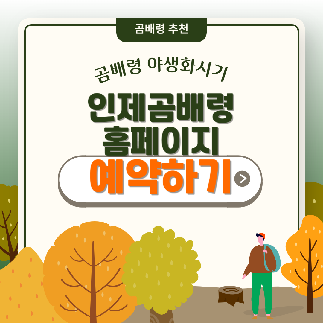 인제곰배령 홈페이지 예약하기 곰배령 야생화시기