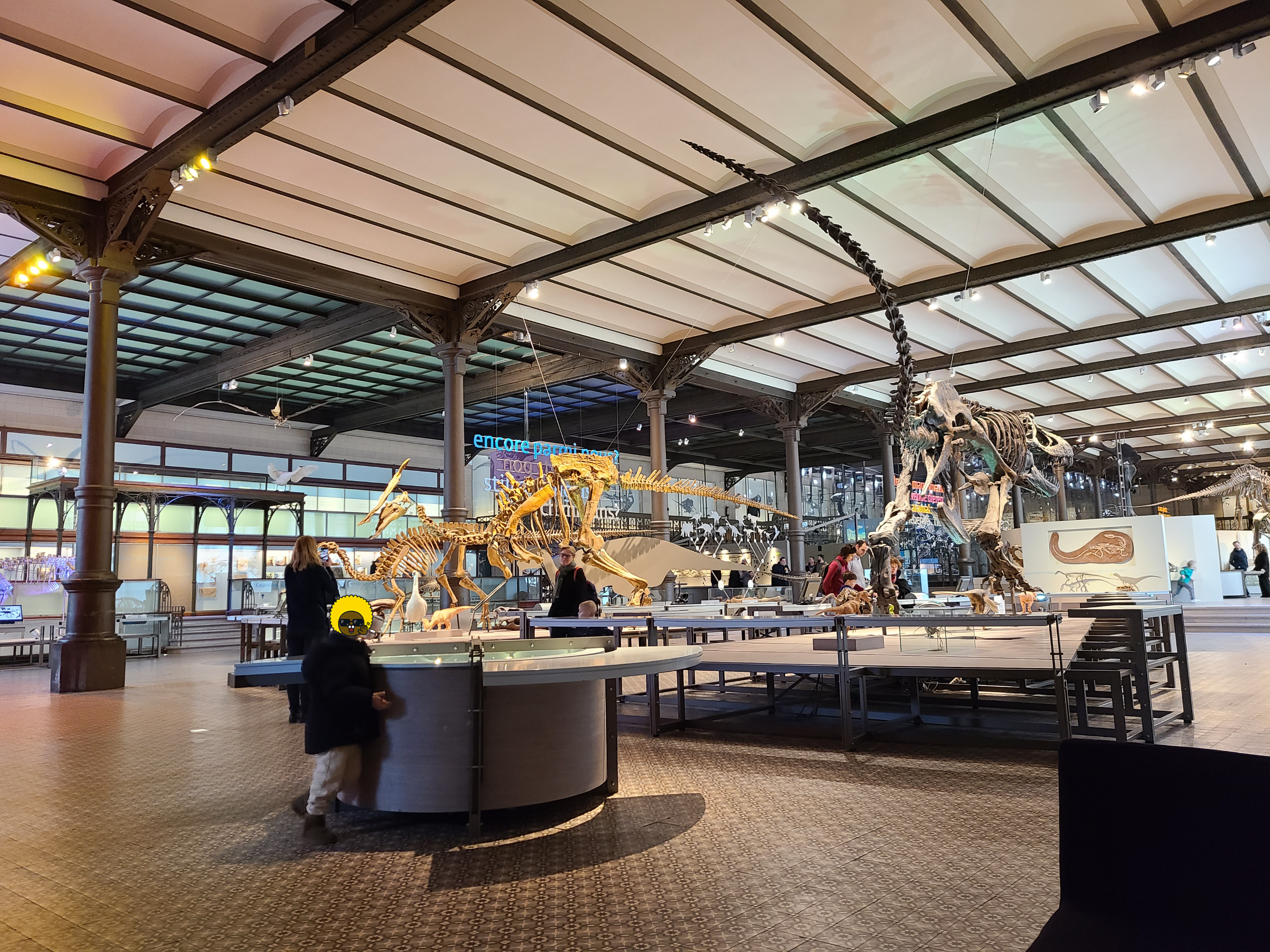 브뤼셀 자연사박물관 공룡뼈 화석 전시관 전경