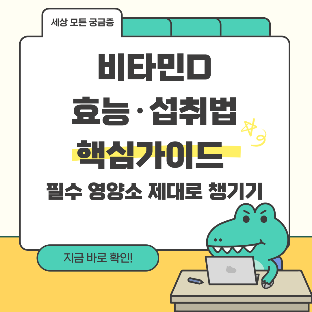 비타민D 효능·섭취법 핵심가이드