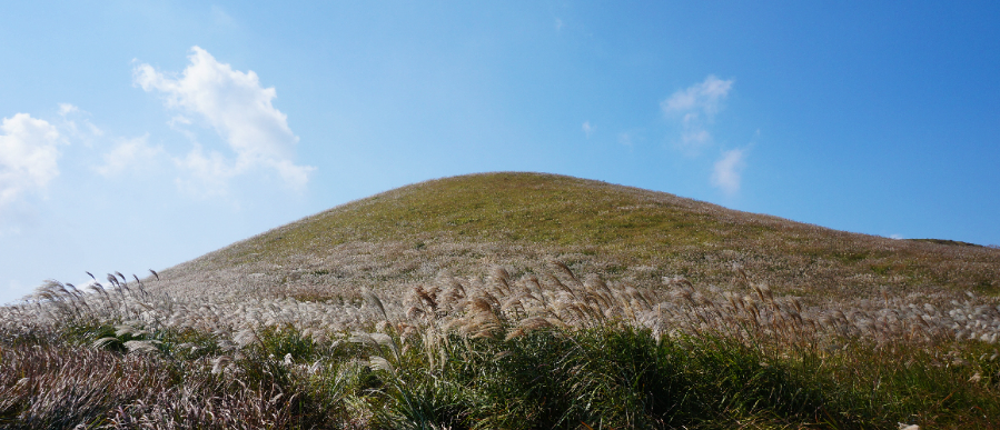 제주도 가볼만한곳 10곳