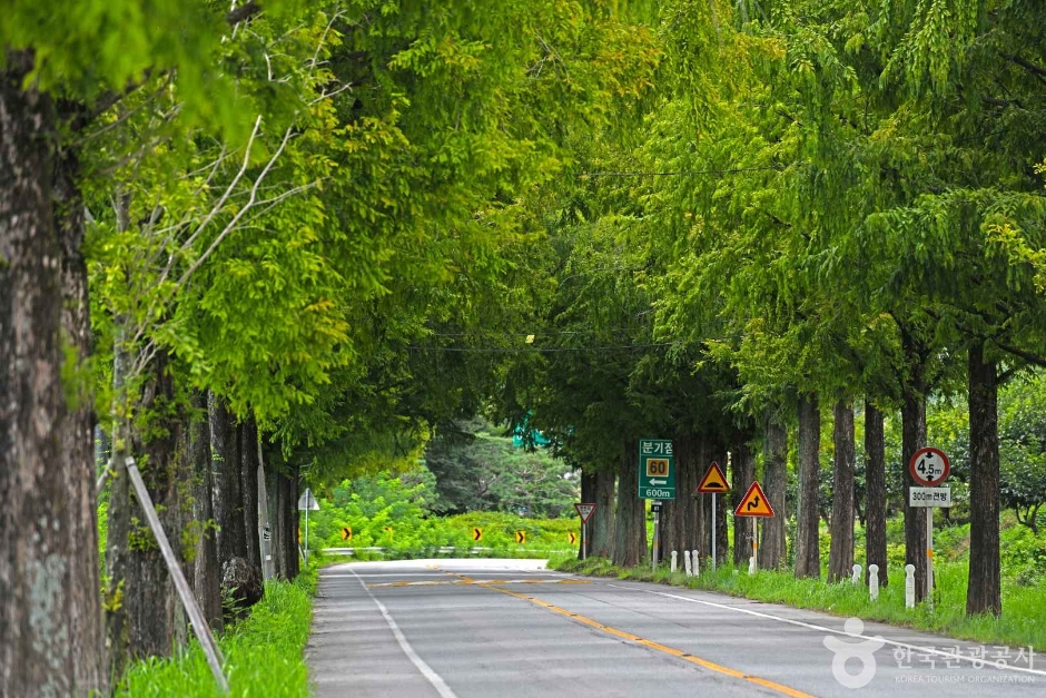 곡성 가볼만한곳 베스트10