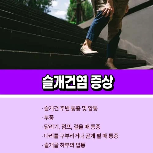 슬개건염 증상