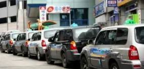 택시/기사 동행 투어