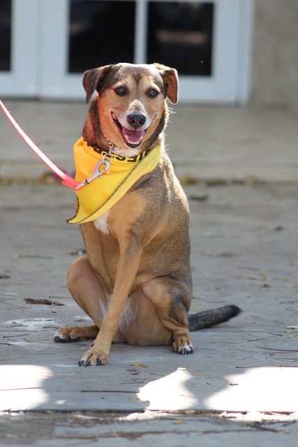 장애인활동지원 서비스 신청방법