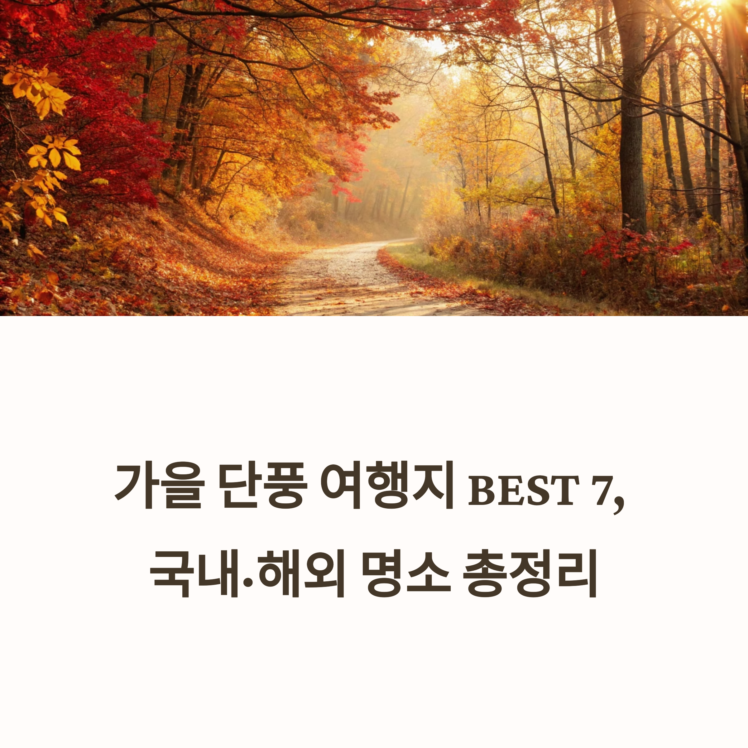 가을 단풍 여행지 BEST 7