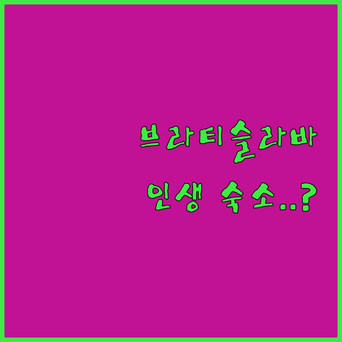 슬로바키아 브라티슬라바 숙소 베스트 ..