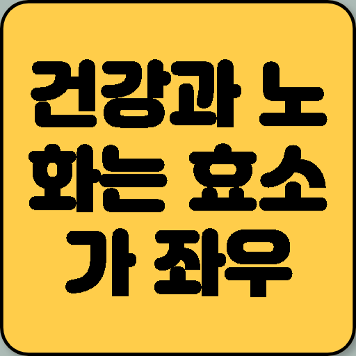 건강과 노화는 효소가 좌우한다