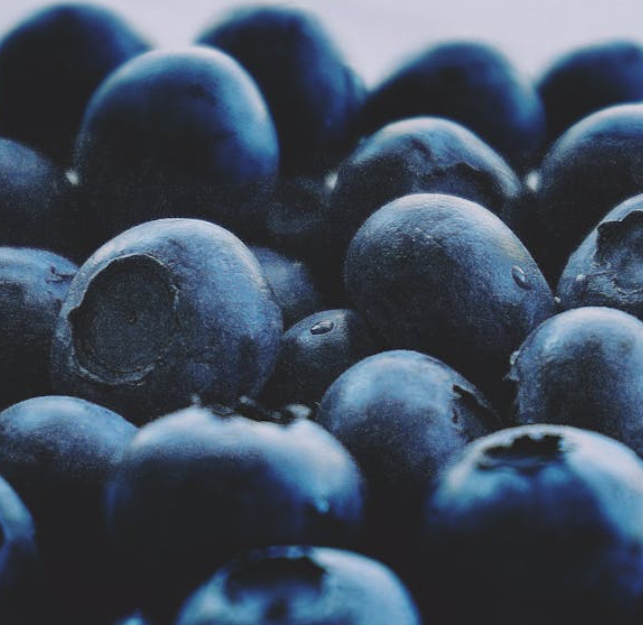 허리에 좋은 음식