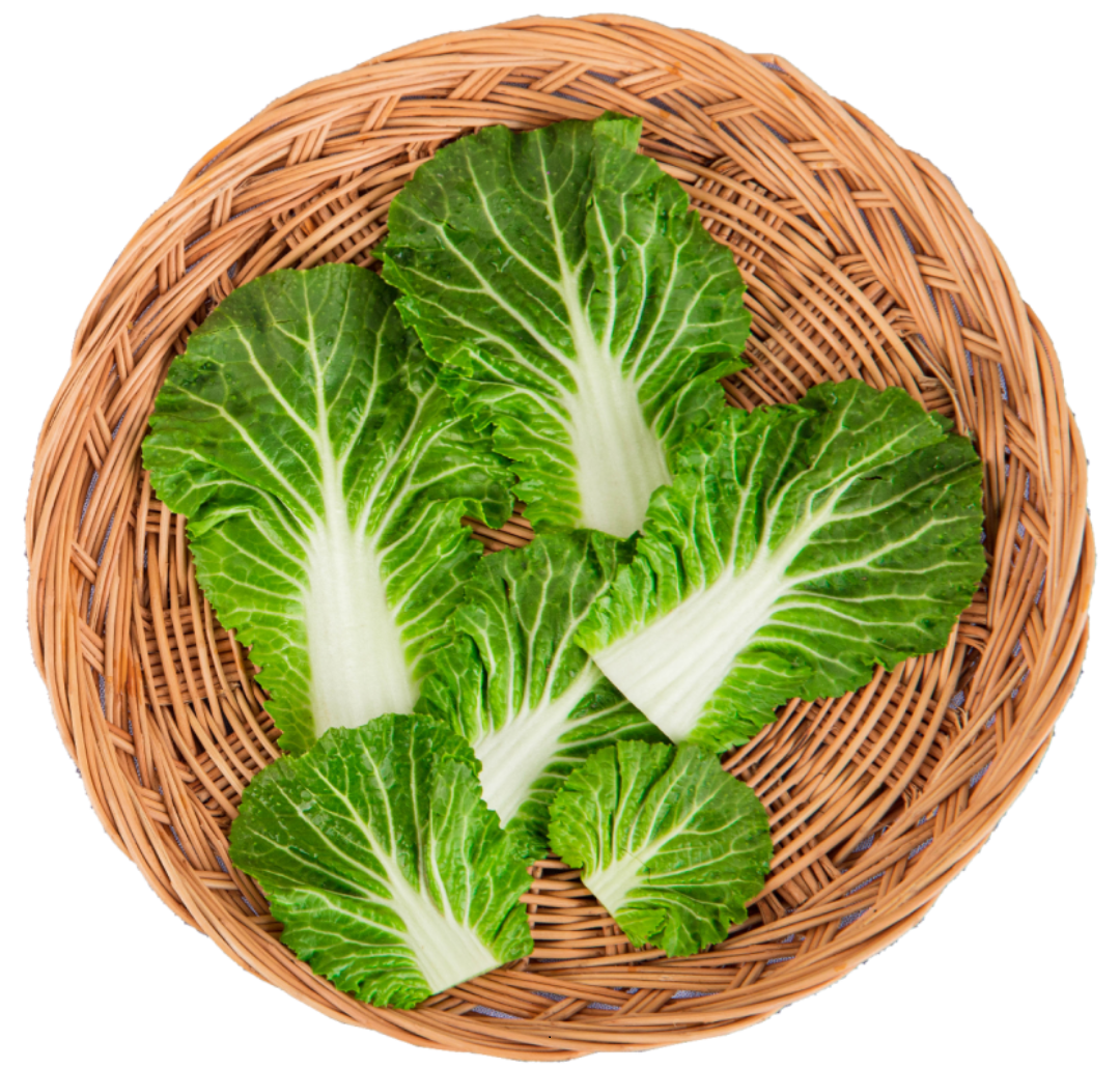 2월 제철음식 봄동 알아보기