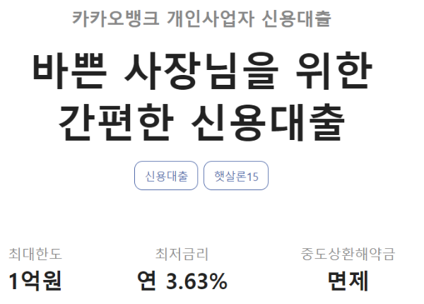 카카오뱅크 사장님 대출