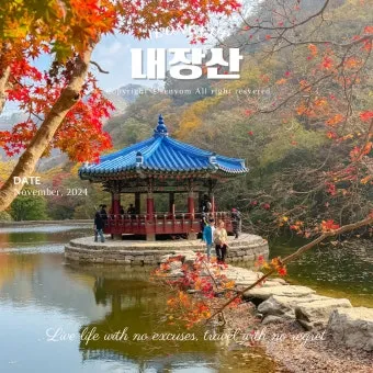 내장산 단풍터널 드라이브 코스 주차장 위치까지 총정리_19