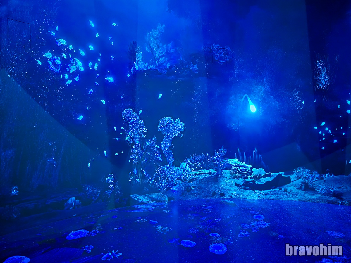 르스페이스 심해