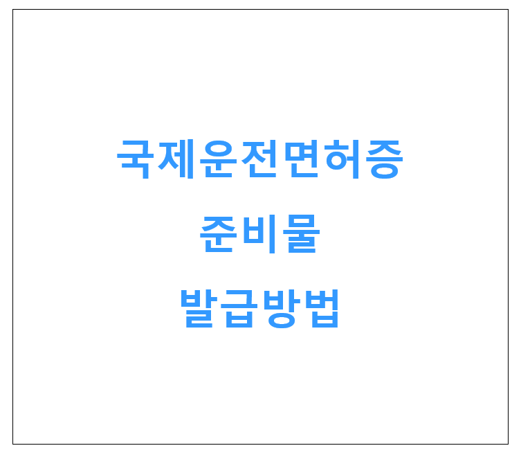 국제운전면허증