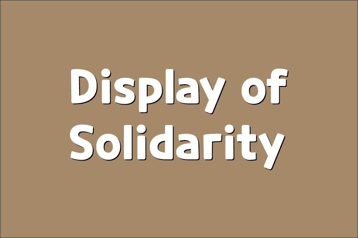 Display of Solidarity 뜻