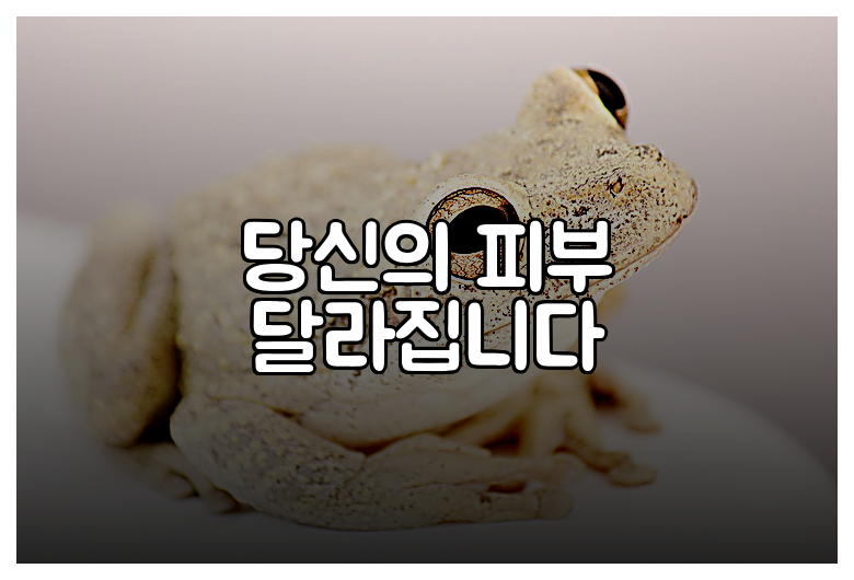 당신의 피부 달라집니다