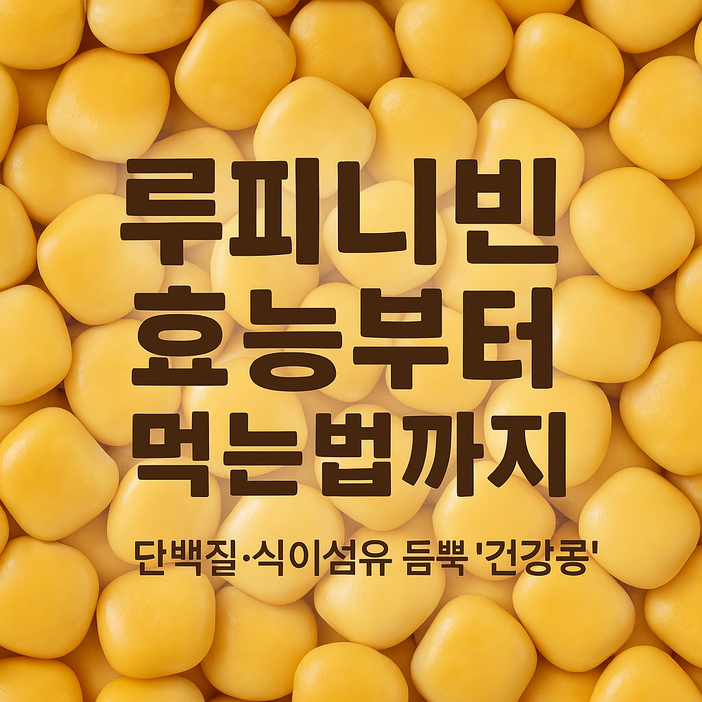 루피니빈 효능부터 먹는법까지 총정리