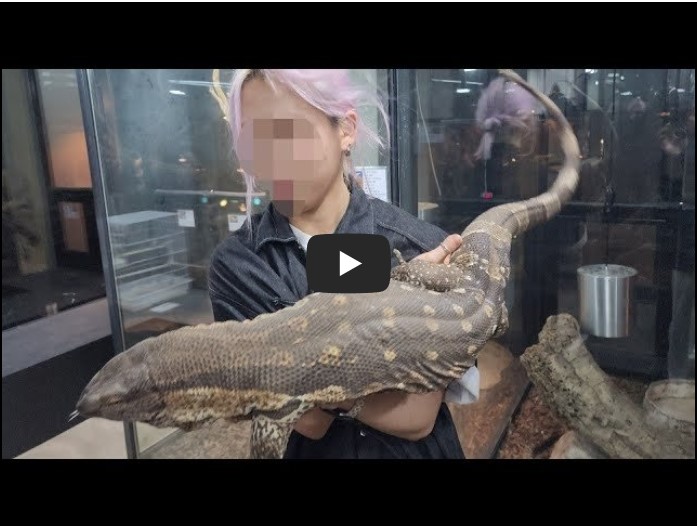 곤충 유튜버 순위 TOP 10 9