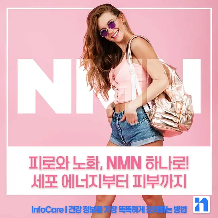 NMN 효능 효과 저속노화 노화방지 항노화