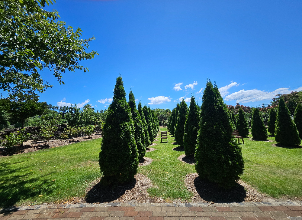 인디언키친본점_사진스팟1