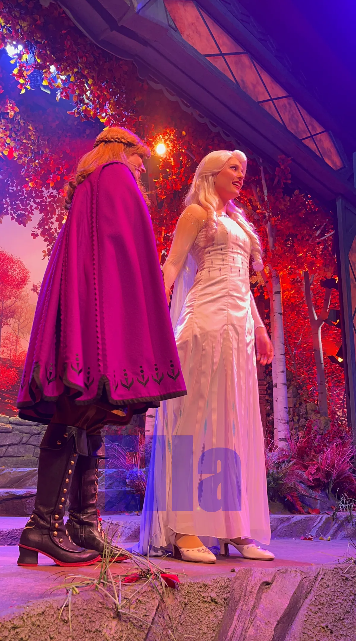 홍콩디즈니랜드-숲속의-플레이하우스