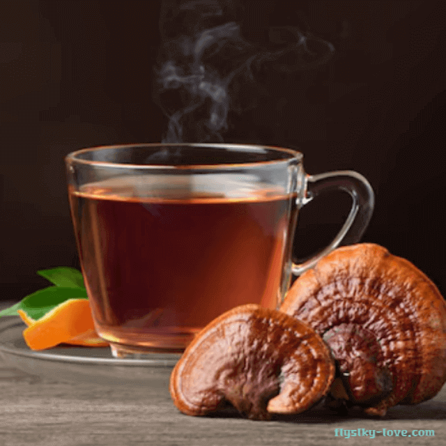 약용 버섯 영지차