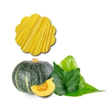 단호박 수확시기와 따는 방법 지역별로 쉽게 알아보는 정보_4