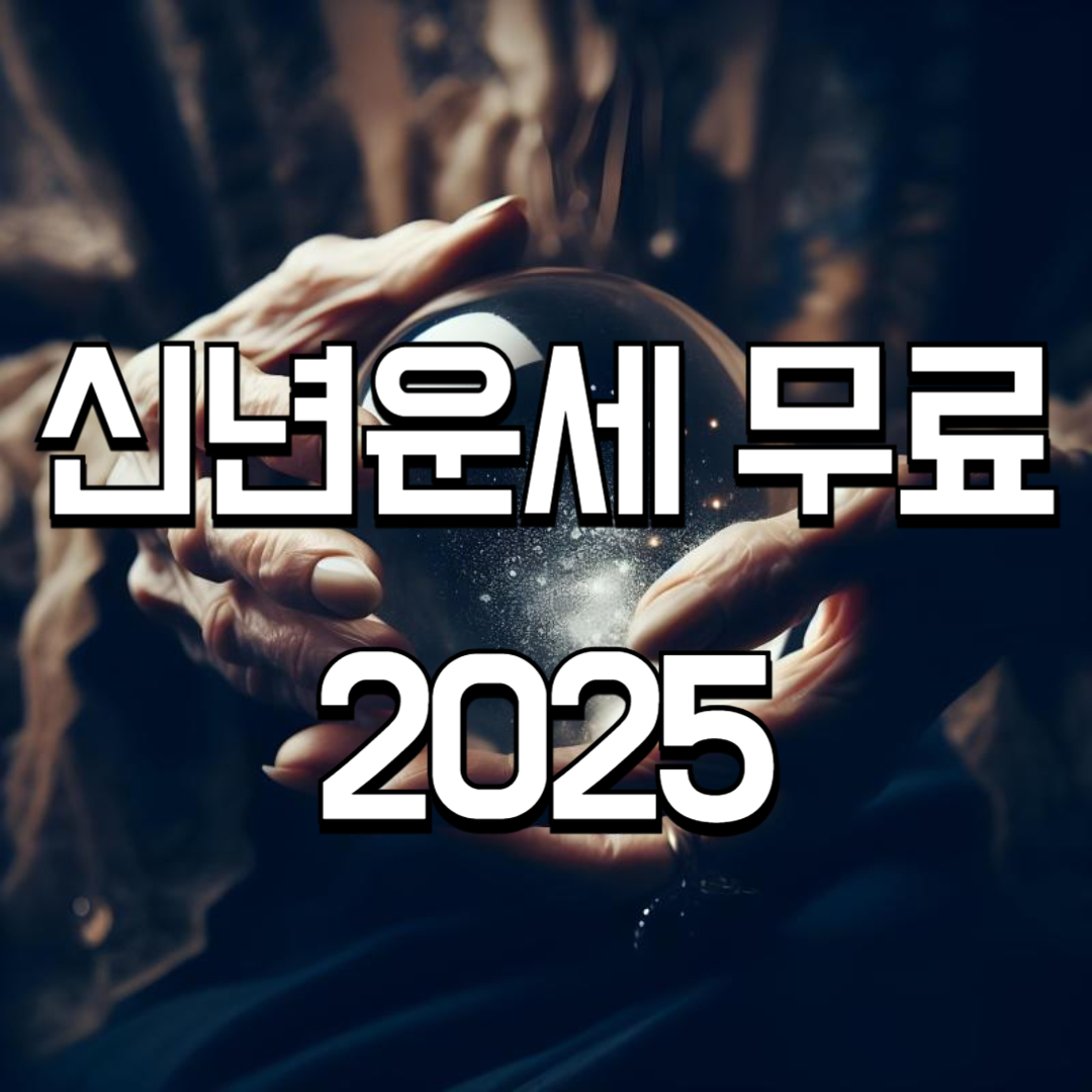 신년운세 무료 2025 ✅