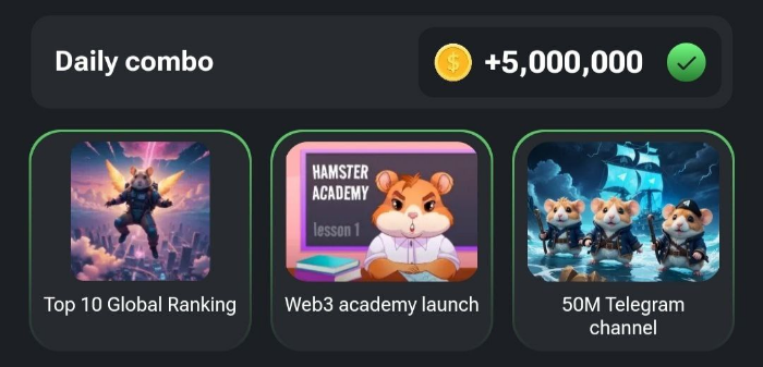 햄스터컴뱃 콤보