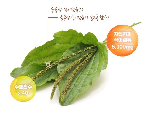 종근당 장건강 프로젝트 365 차전자피 식이섬유환