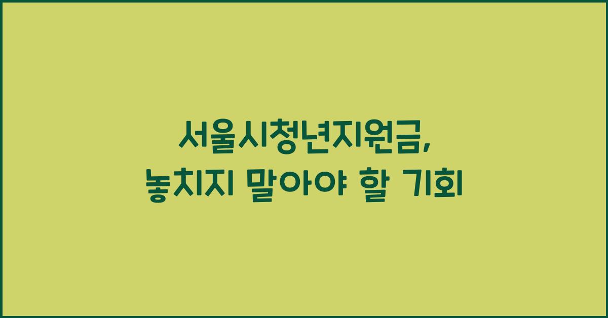 서울시청년지원금