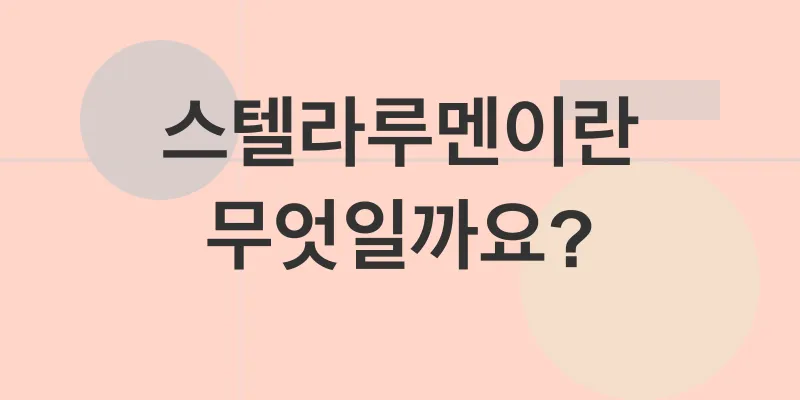 스텔라루멘 전망_1