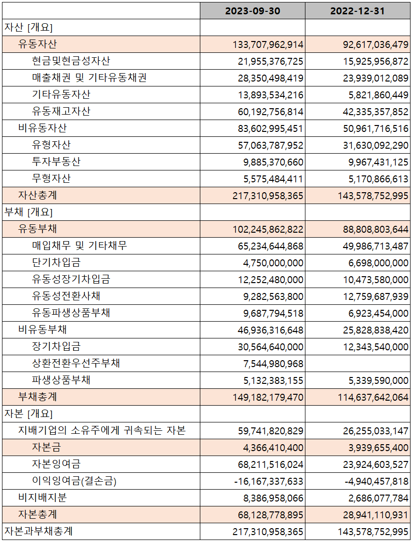 나인테크 - 재무상태표