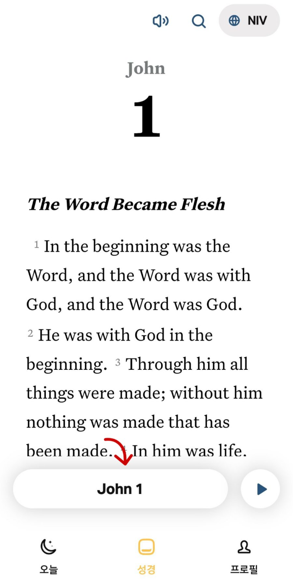 niv 성경 요한복음