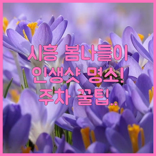 시흥 봄 나들이 장소 추천 갯골생태공..