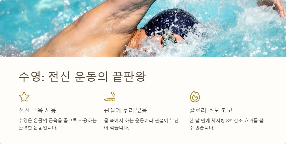 효과적인 유산소 운동 루틴, 빠르게 체지방 태우는 법