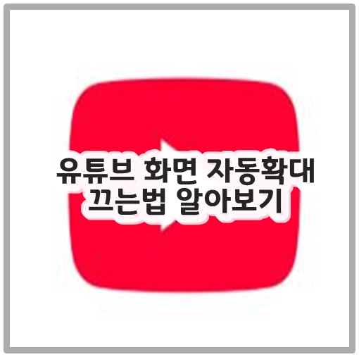 유튜브 화면 자동확대 끄는법 알아보기