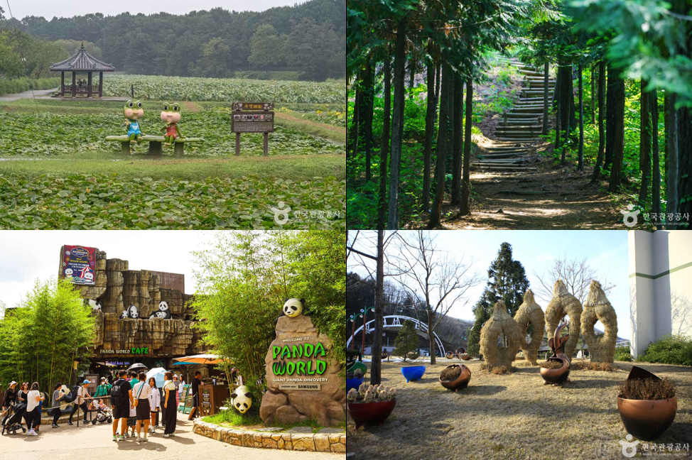 용인 가볼만한곳 베스트10