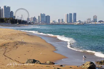 속초 여행코스 설악산 영금정 중앙시장 낙산사 하루만에 즐기기_3